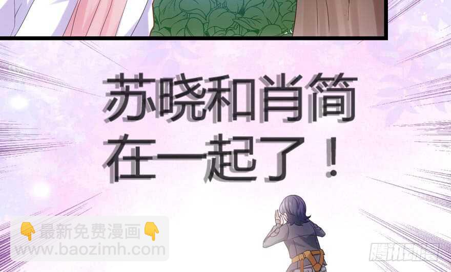 番外，苏晓的助理（完）(1/2)-第155话