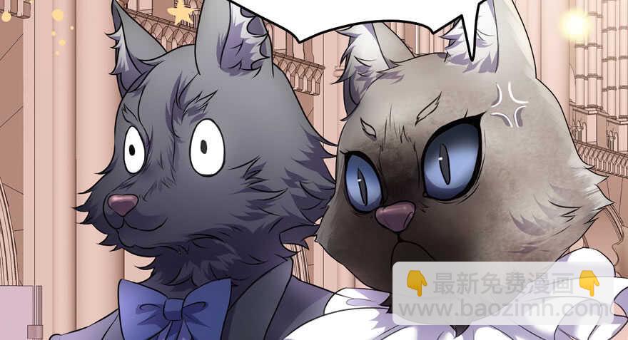 完美约会的一天(1/4)-第245话