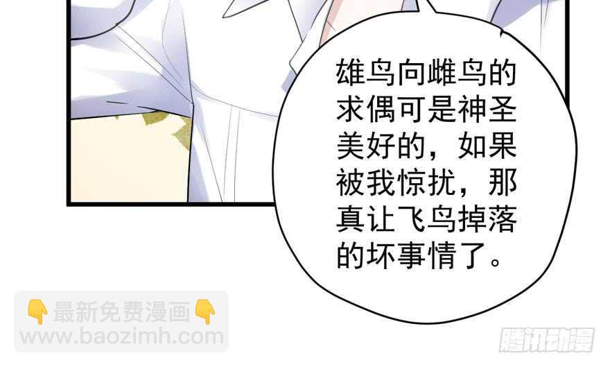 人形迫击炮(1/3)-第269话