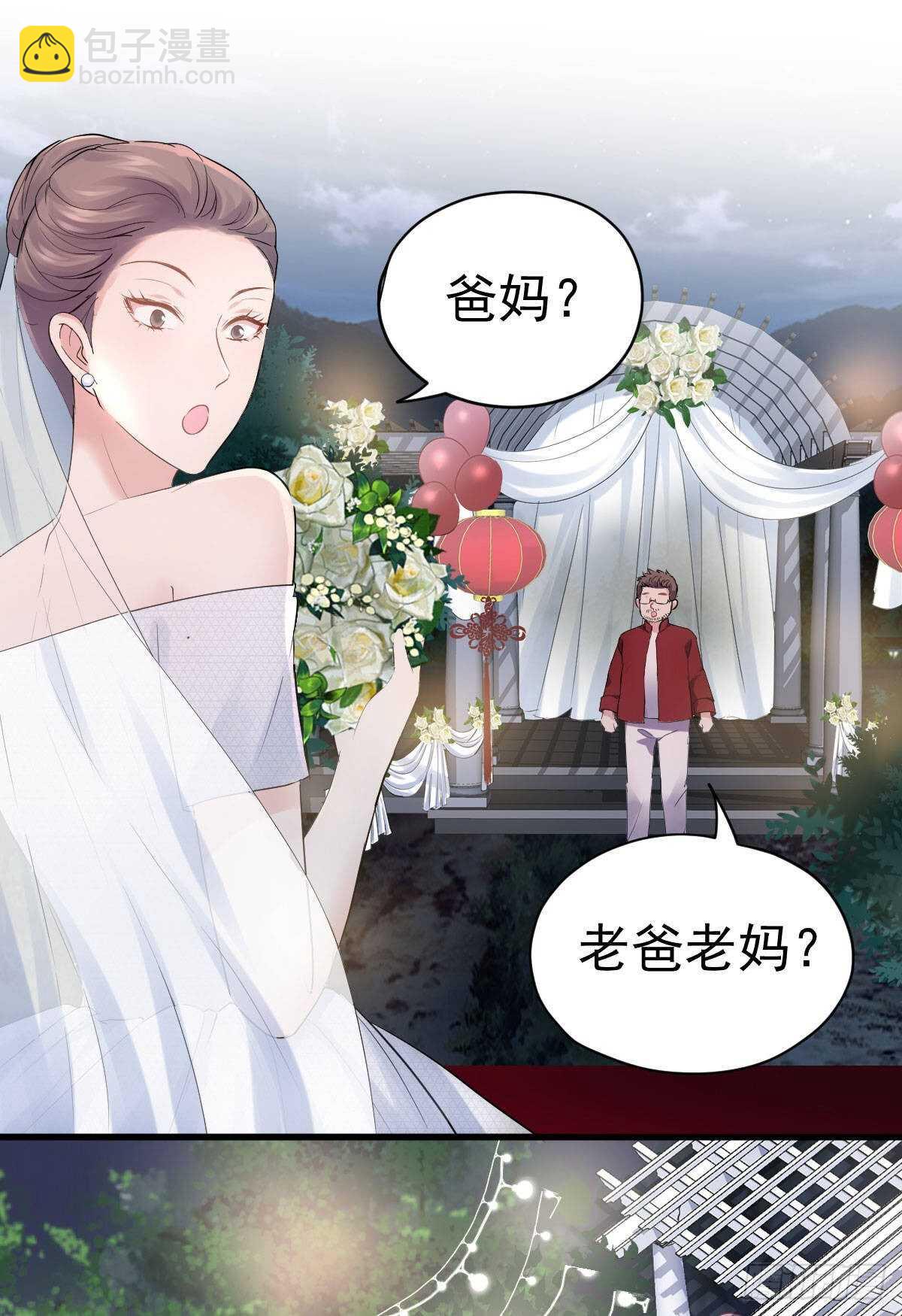 梦中的婚礼（上）(1/2)-第307话