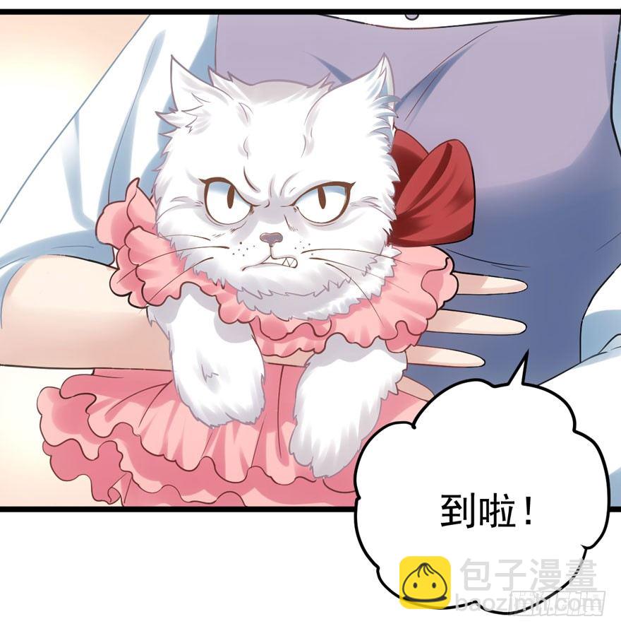 肖简与猫(1/2)-第77话