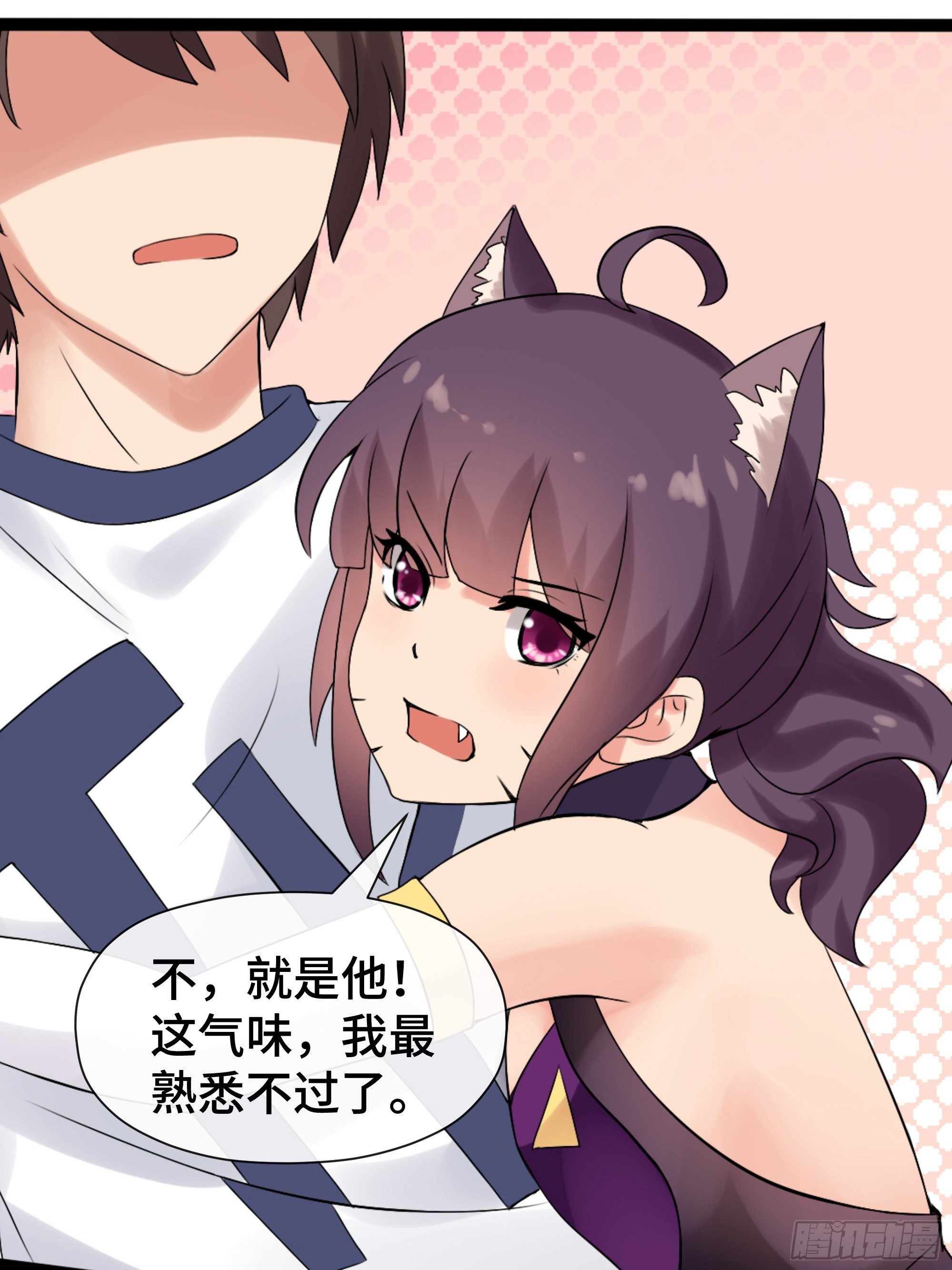 第40话 猫的选择-第41话