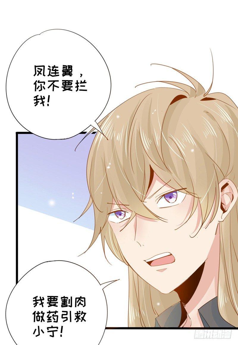 第12话 再遇凤连翼-第13话