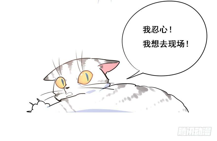 番外篇：神辅的国庆-第31话