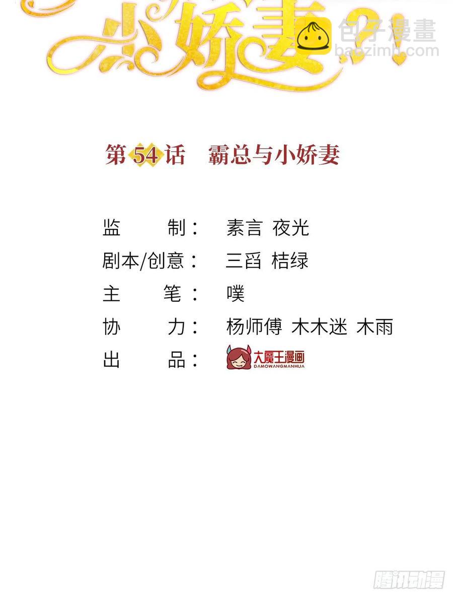 54.霸总与小娇妻&middot;第一季完结-第57话