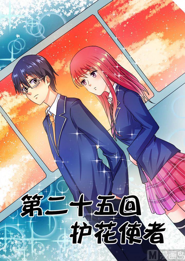 第二十五回：护花使者-第25话