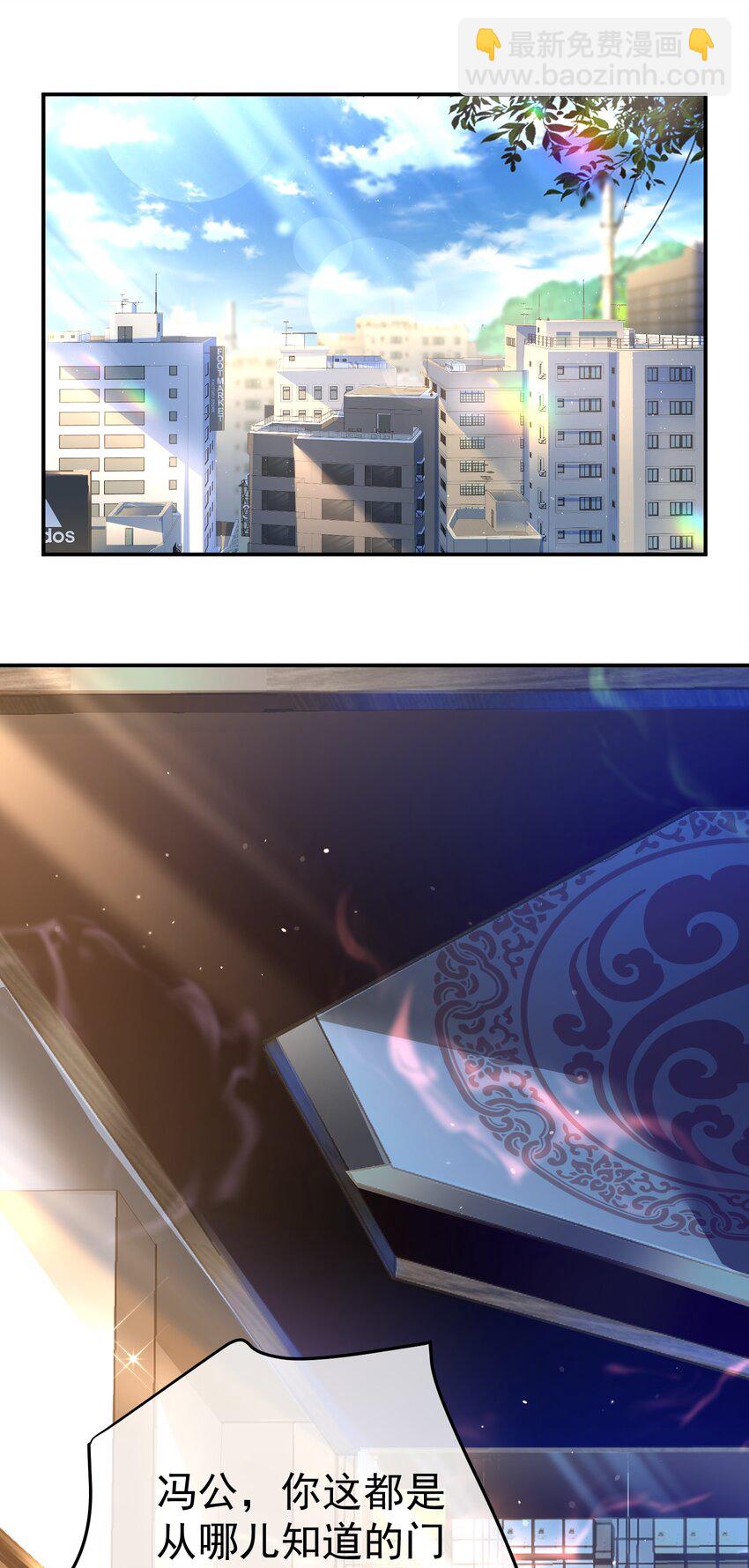 50 神秘的美女(1/2)-第51话
