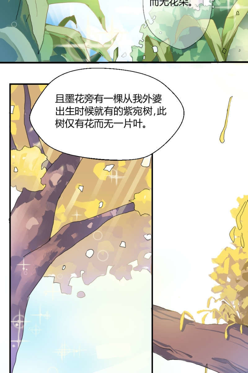 第1话 萌弟弟与呆姐姐-第1话