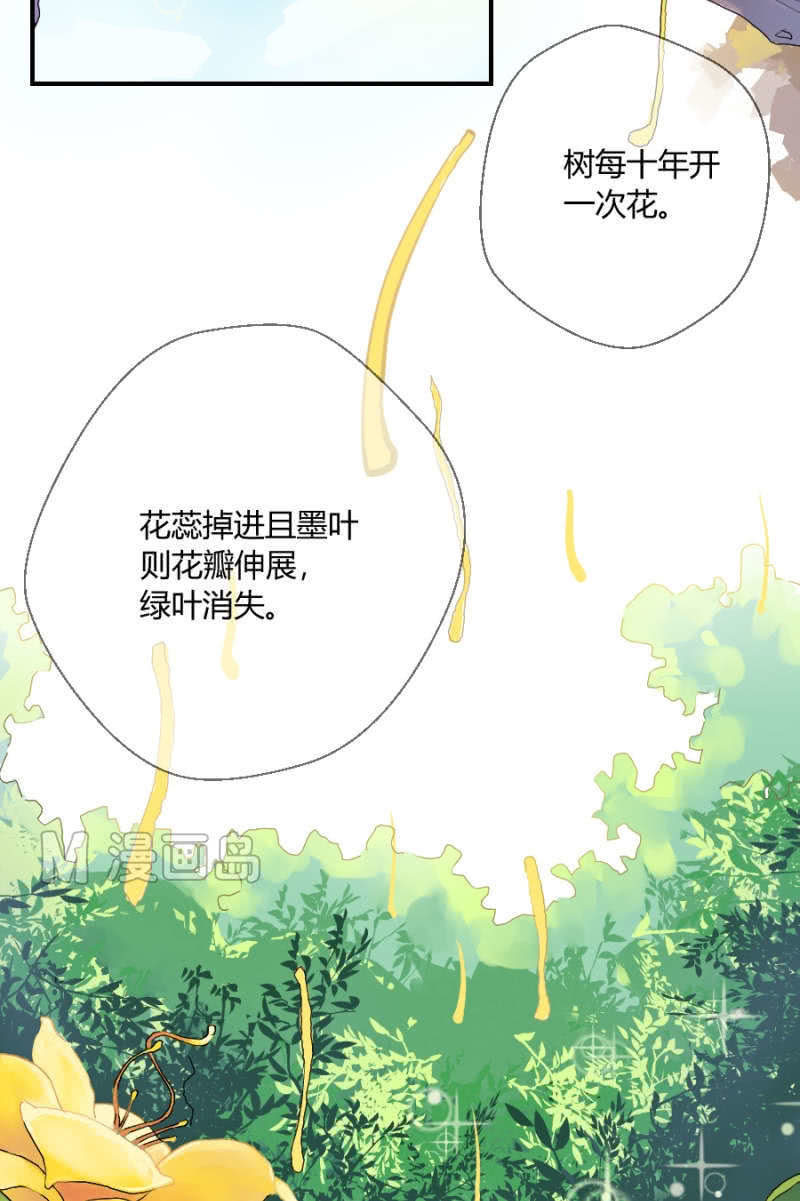 第1话 萌弟弟与呆姐姐-第1话