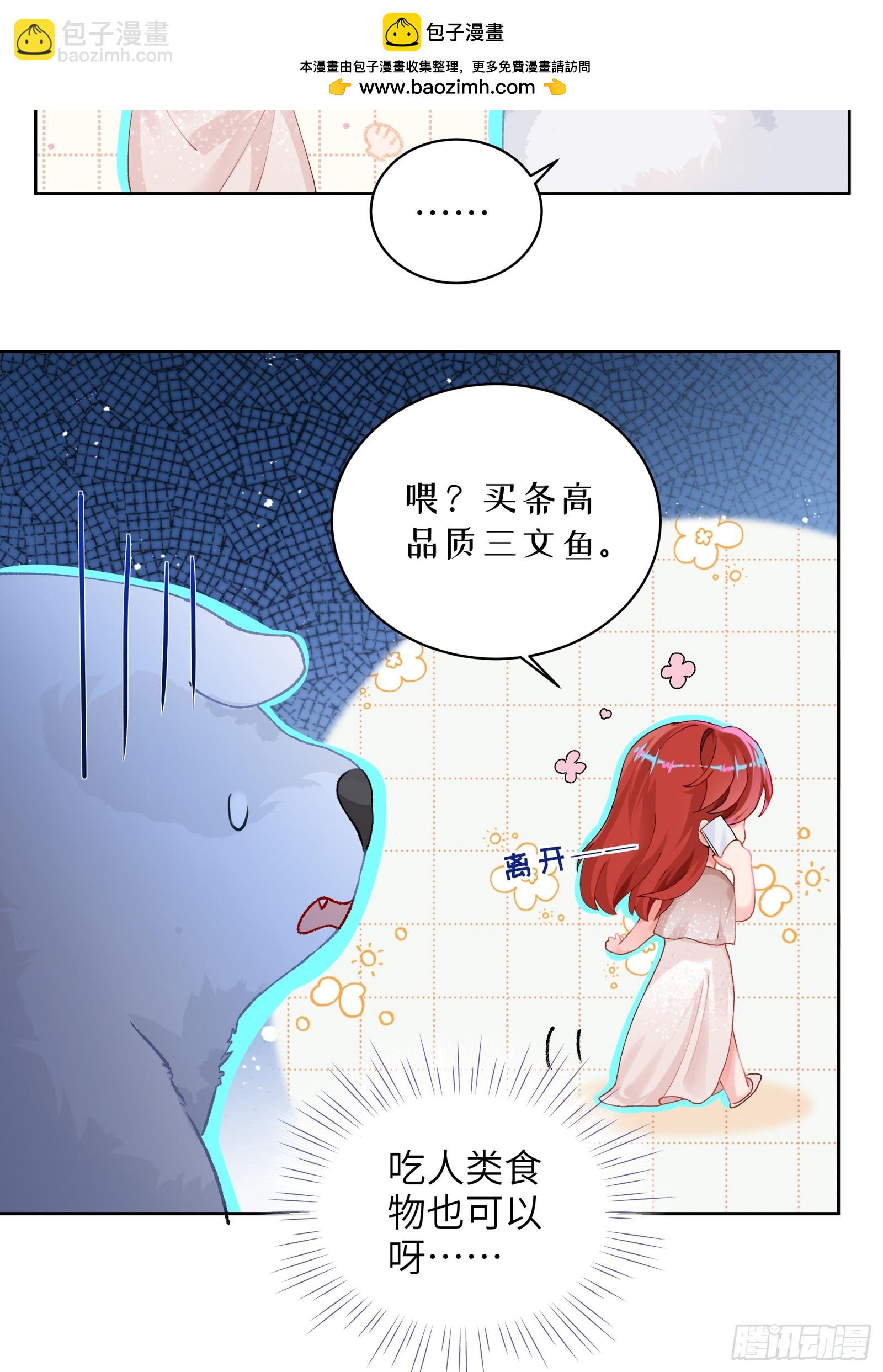 第15话  嗷呜&mdash;&mdash;白熊出击-第17话