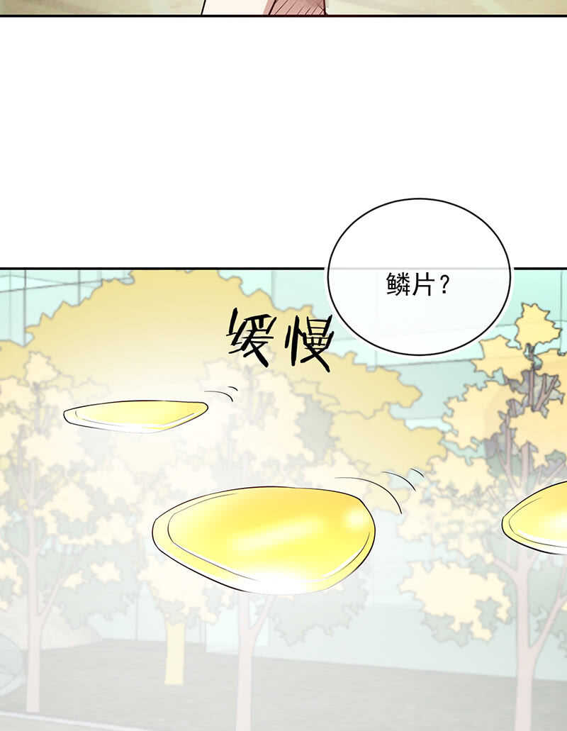 🍘我的充电女友 终结者还是生化危机 第8页