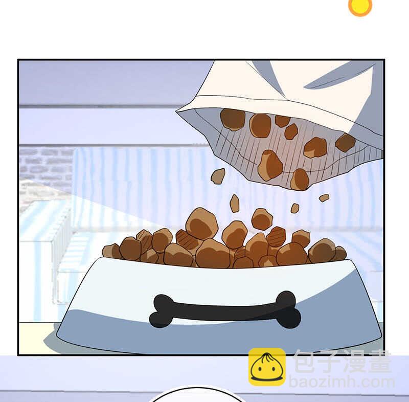 🍘我的充电女友 交涉 第3页