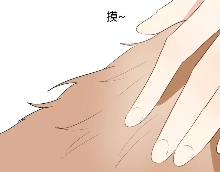 第53话  狐狸的心2(1/2)-第55话