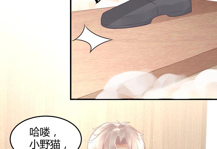 第13话 谁伤了我的猫(1/3)-第13话