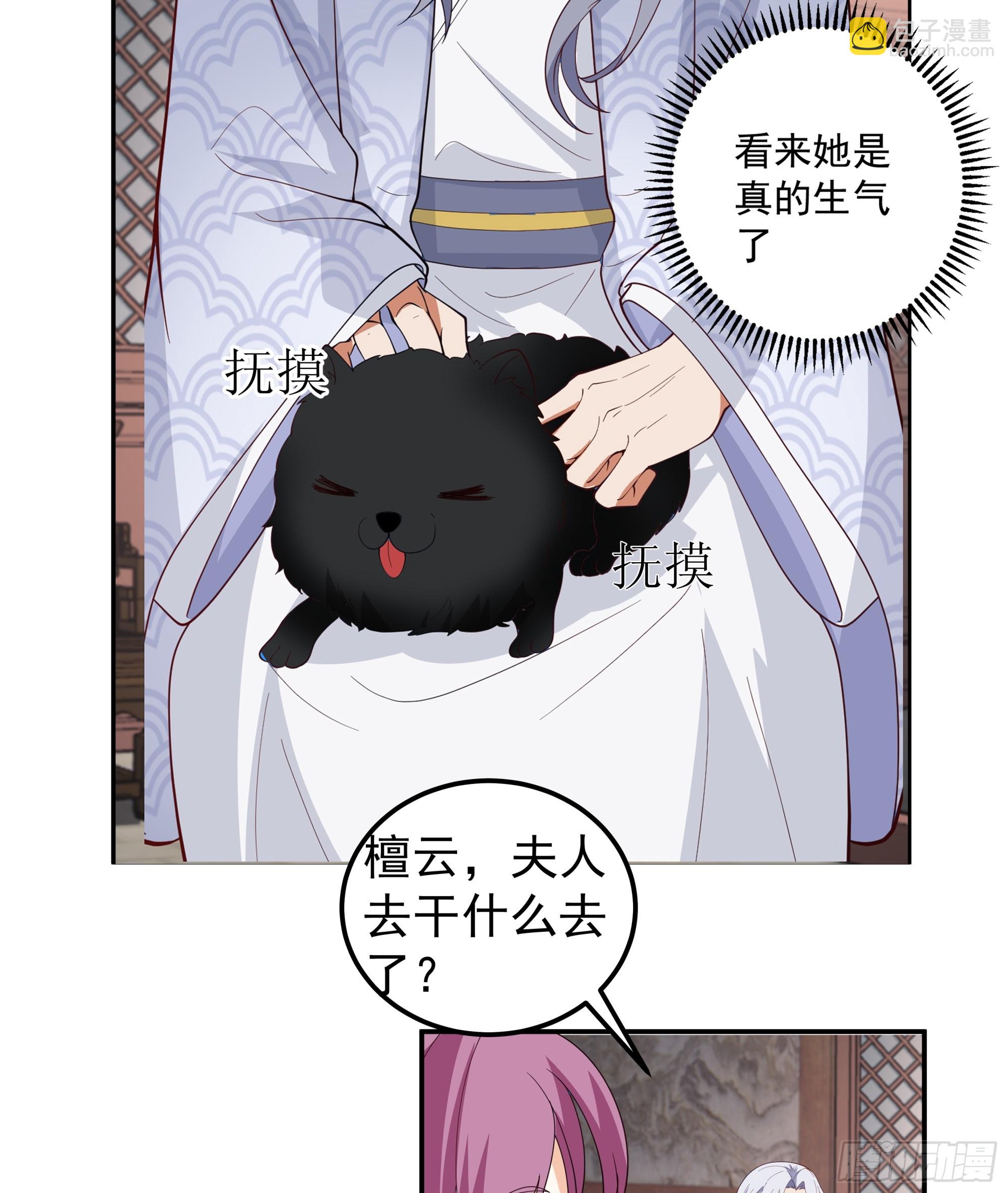 神秘人到访-第13话