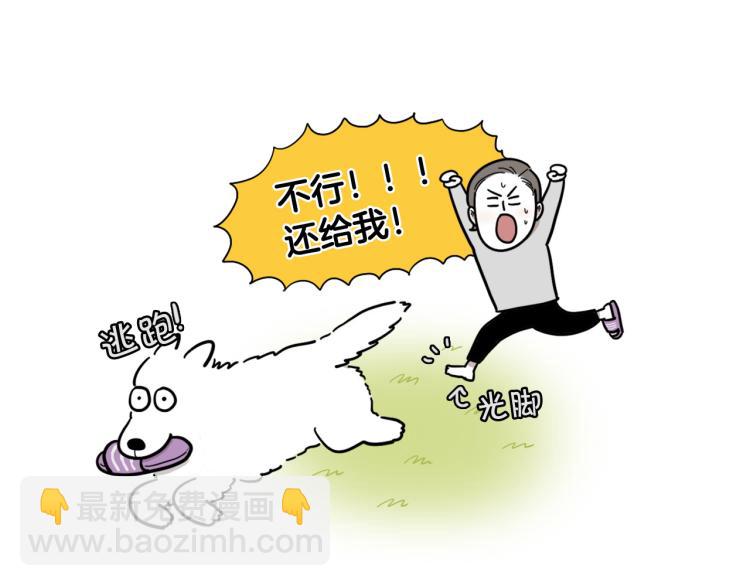序章 我有一只萨摩耶-第1话