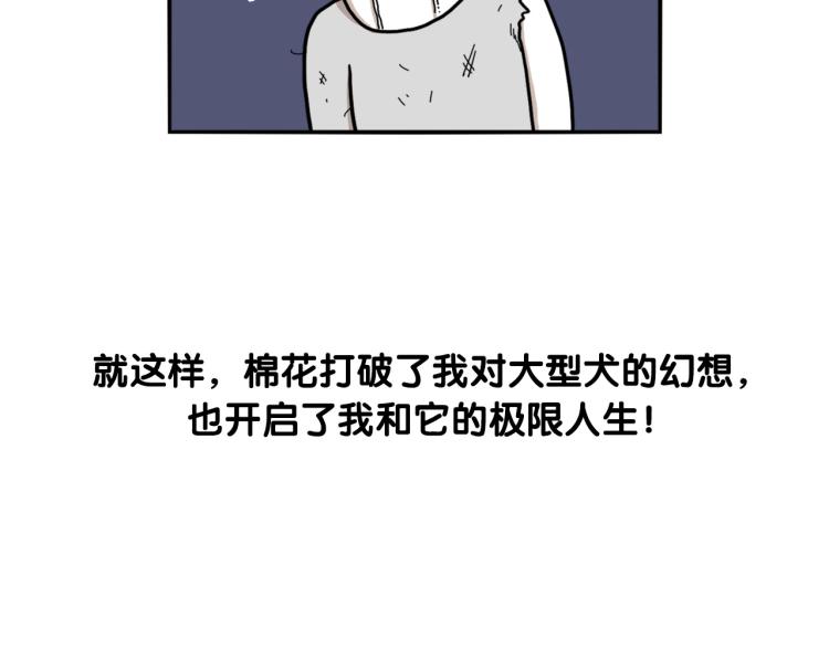 序章 我有一只萨摩耶-第1话