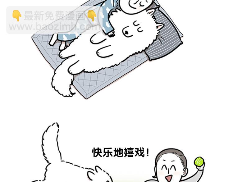 序章 我有一只萨摩耶-第1话