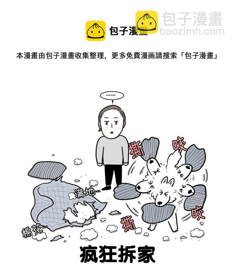 序章 我有一只萨摩耶-第1话