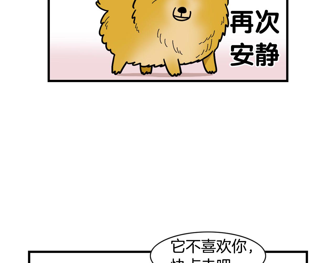 第10话 狗子也社交？(1/2)-第11话