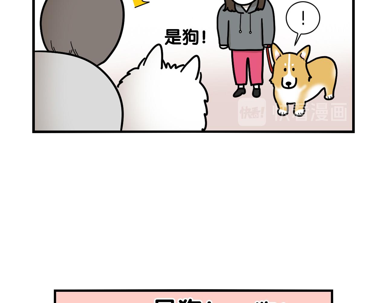 第10话 狗子也社交？(1/2)-第11话