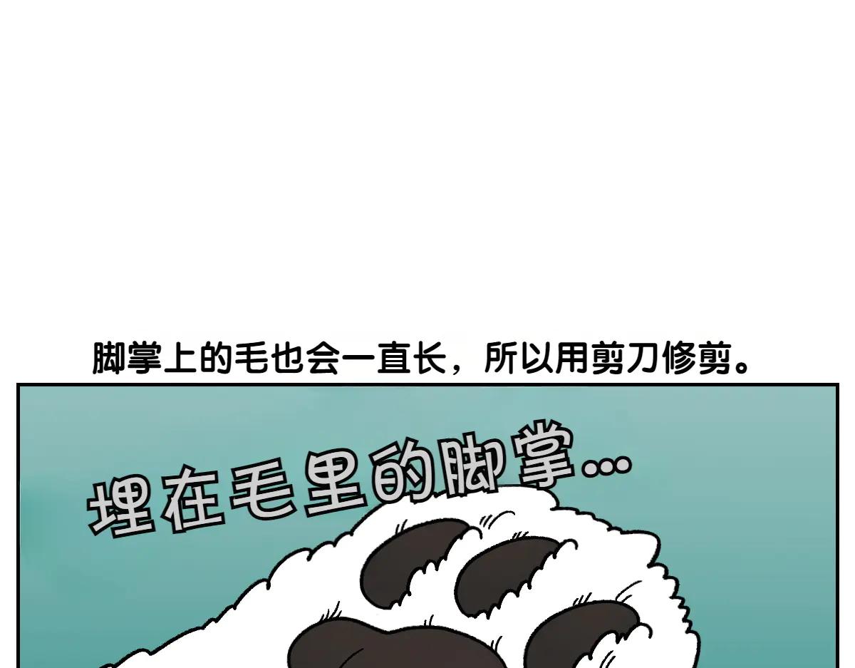 第33话 超级大脚-第101话