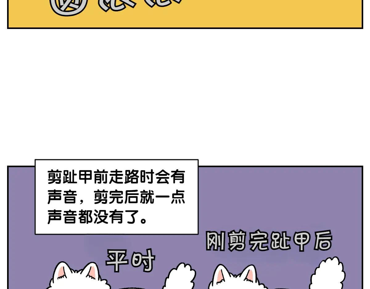 第33话 超级大脚-第101话