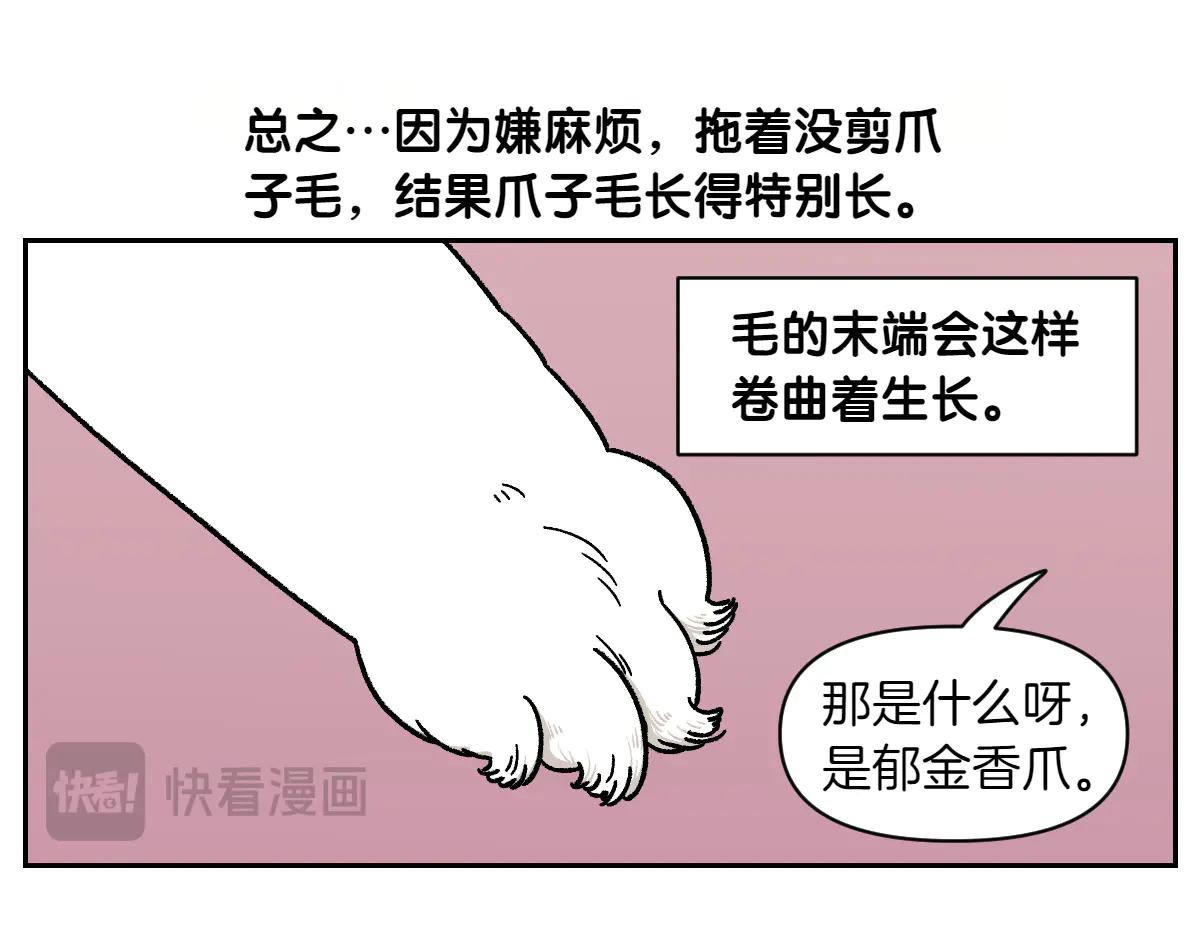 第33话 超级大脚-第101话