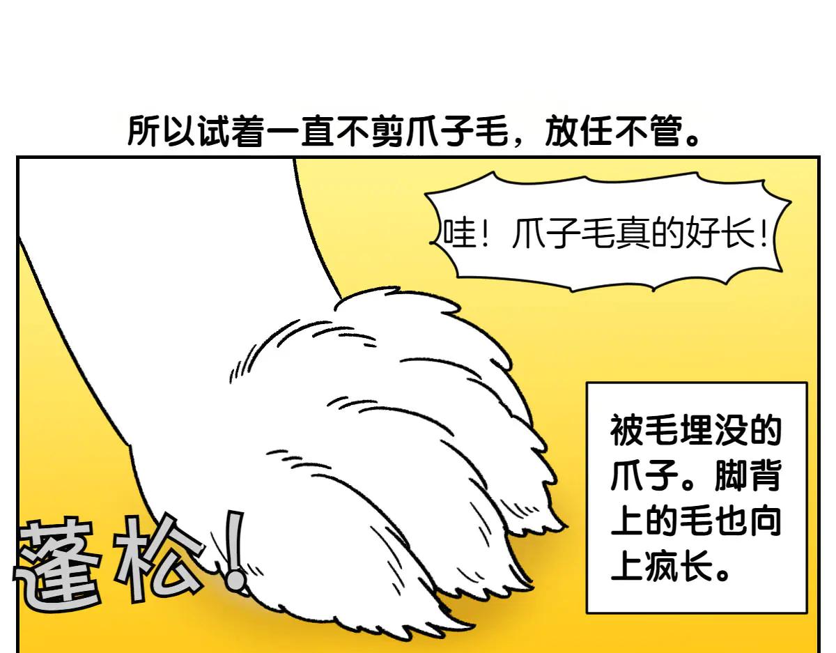 第33话 超级大脚-第101话