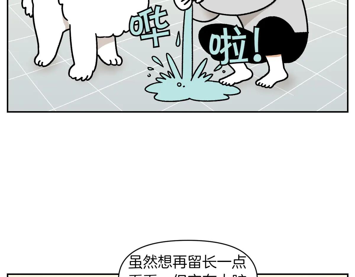 第33话 超级大脚-第101话