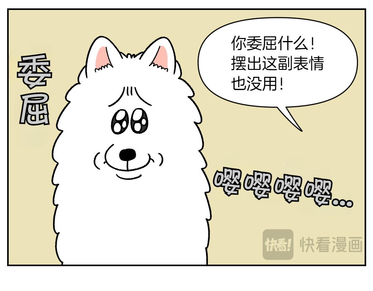 第35话 永远肚子饿的狗-第103话