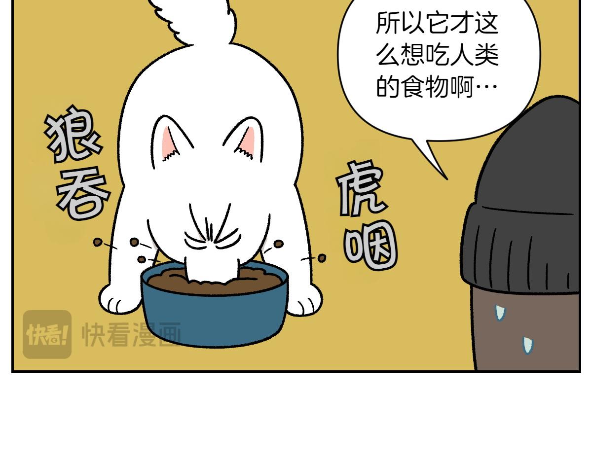 第35话 永远肚子饿的狗-第103话