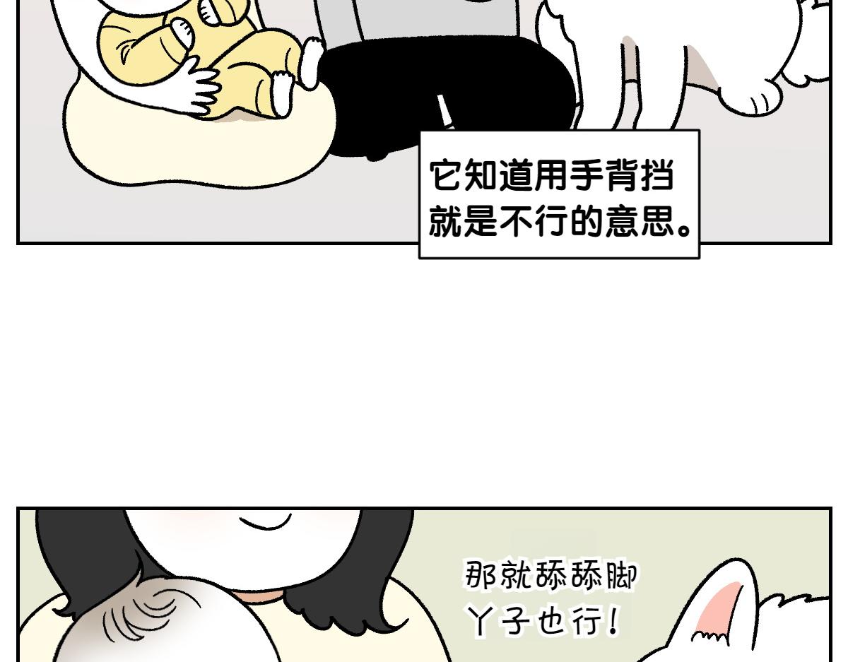 第37话 宝宝客人和棉花(1/2)-第105话