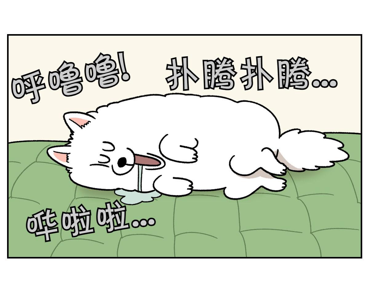 第41话 偷偷上床(1/2)-第109话