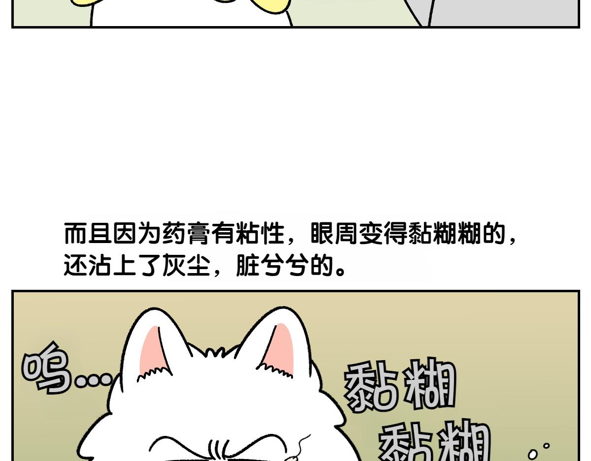 第43话 治疗眼病(2)(1/2)-第111话