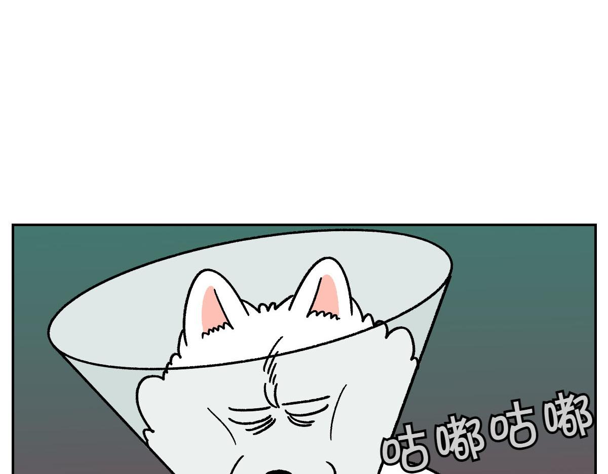 第43话 治疗眼病(2)(1/2)-第111话