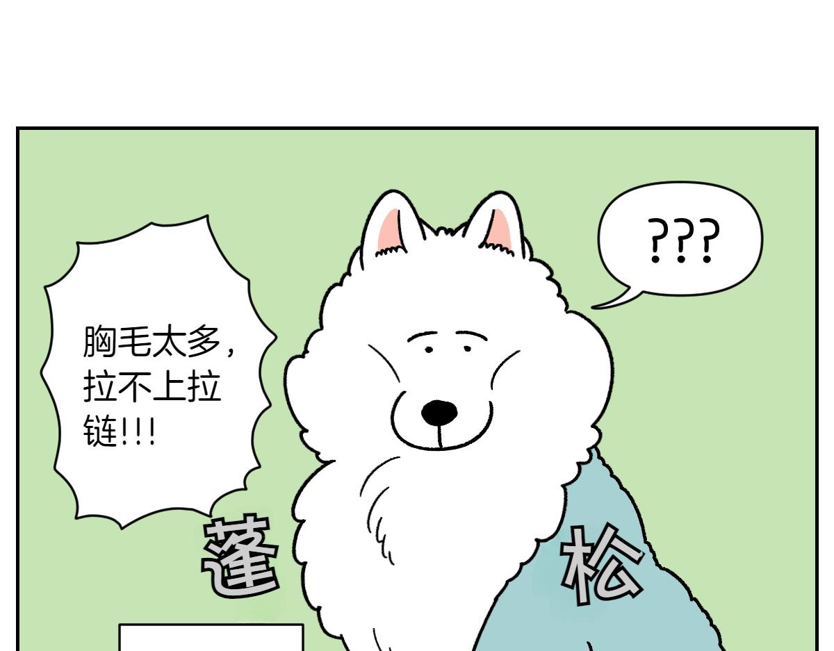 第45话 棉花的冬季散步look(1/2)-第113话