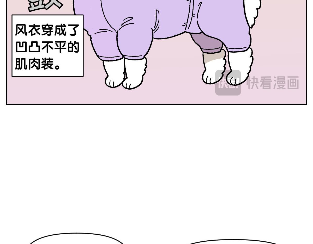 第45话 棉花的冬季散步look(1/2)-第113话