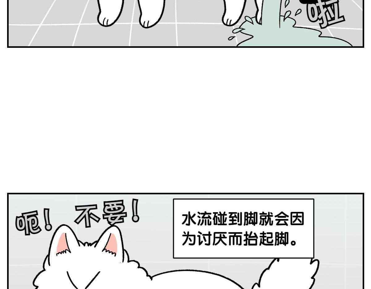 第47话 把狗狗引到浴室(1/2)-第115话