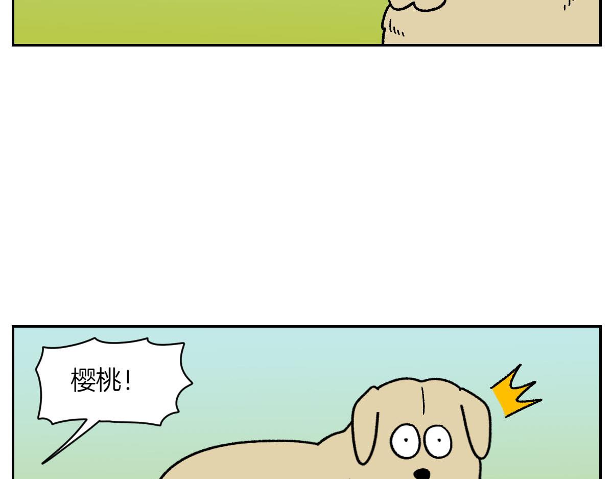 第51话 没有狗狗就互不相识的人们-第119话