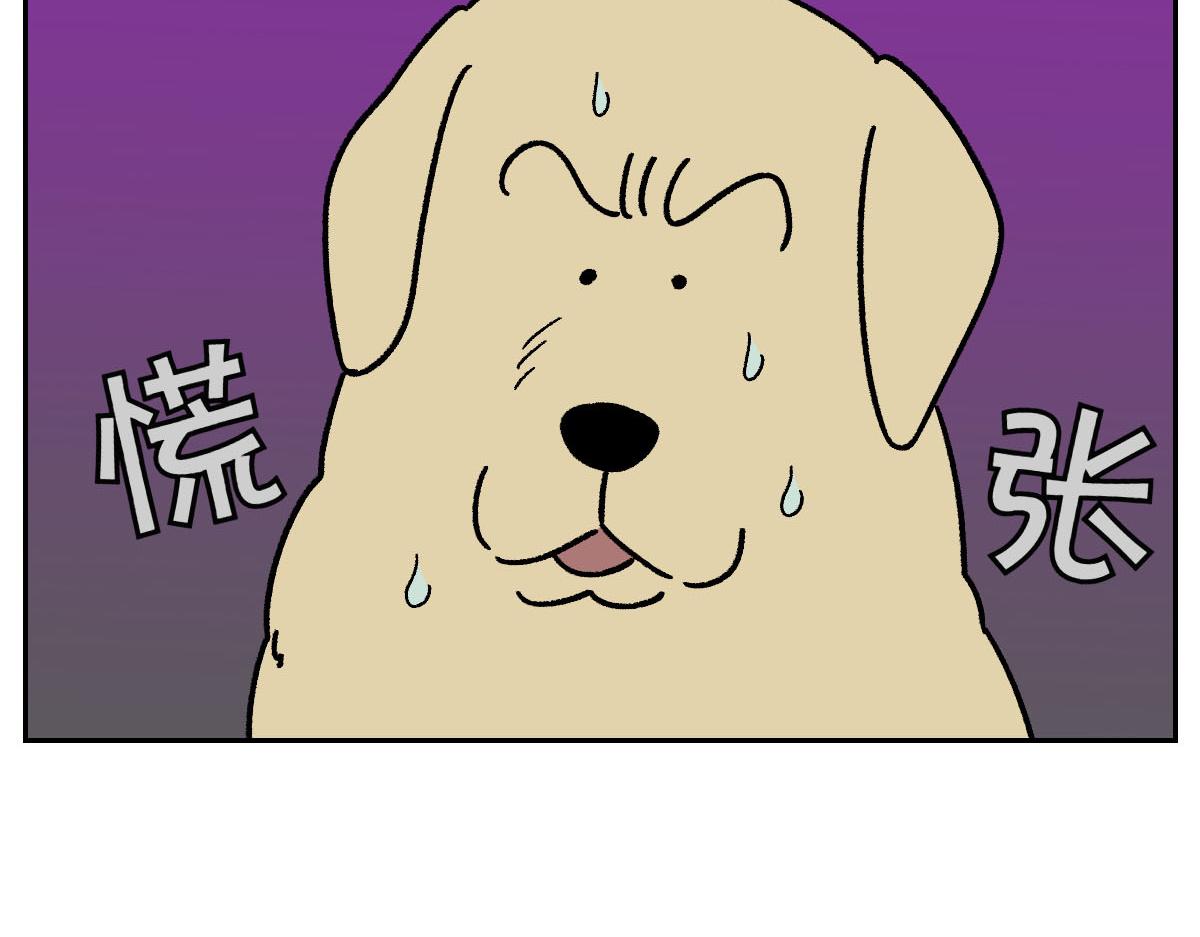 第51话 没有狗狗就互不相识的人们-第119话