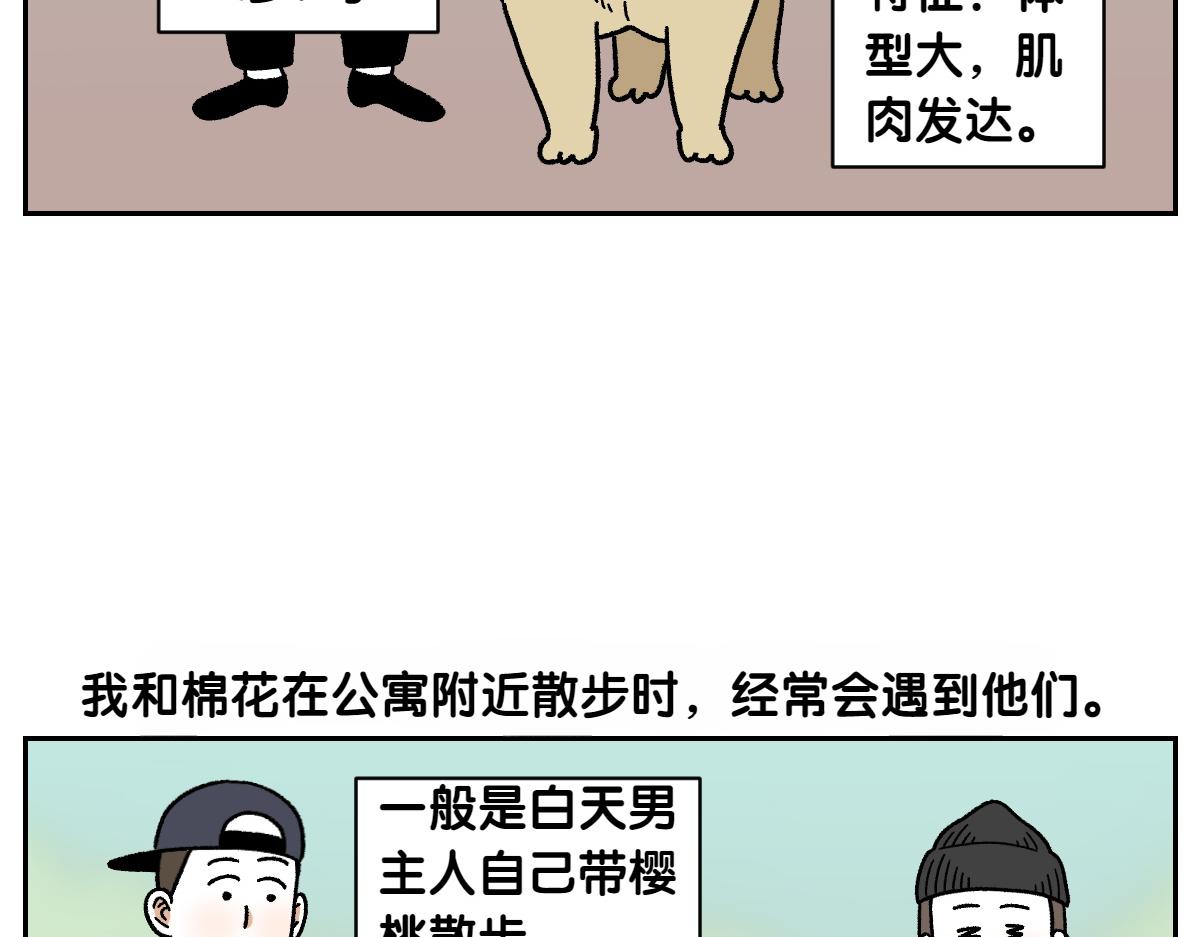 第51话 没有狗狗就互不相识的人们-第119话
