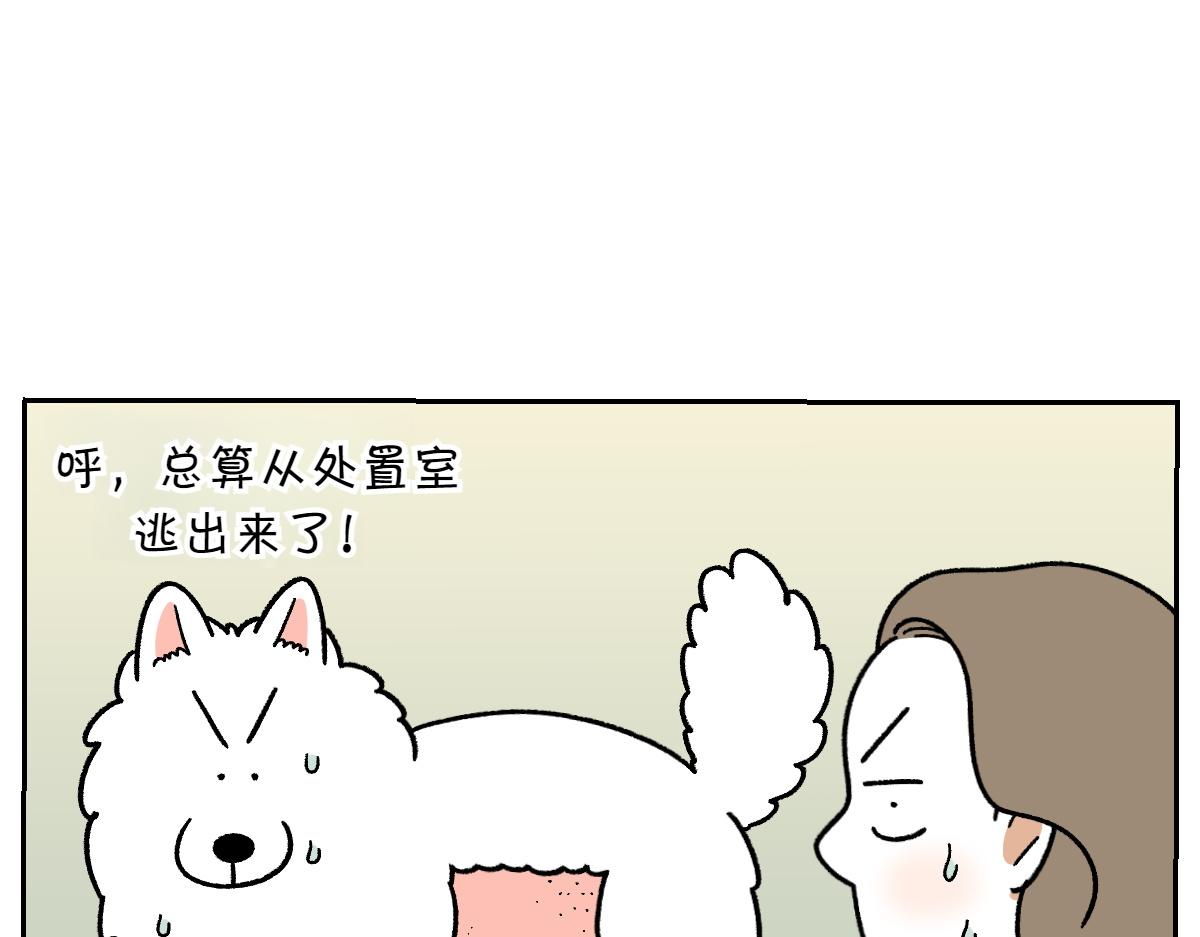 第53话 剪成小平头-第121话