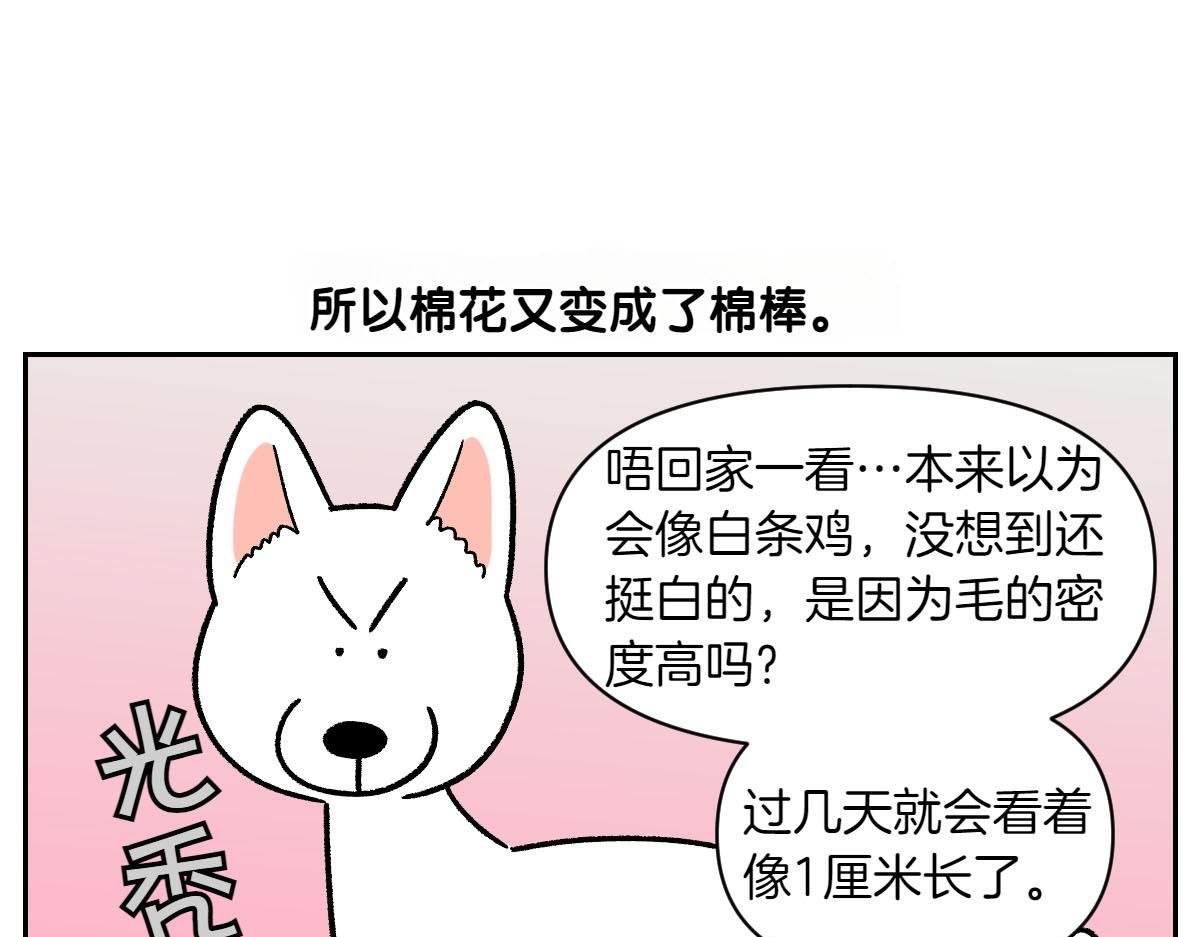 第53话 剪成小平头-第121话