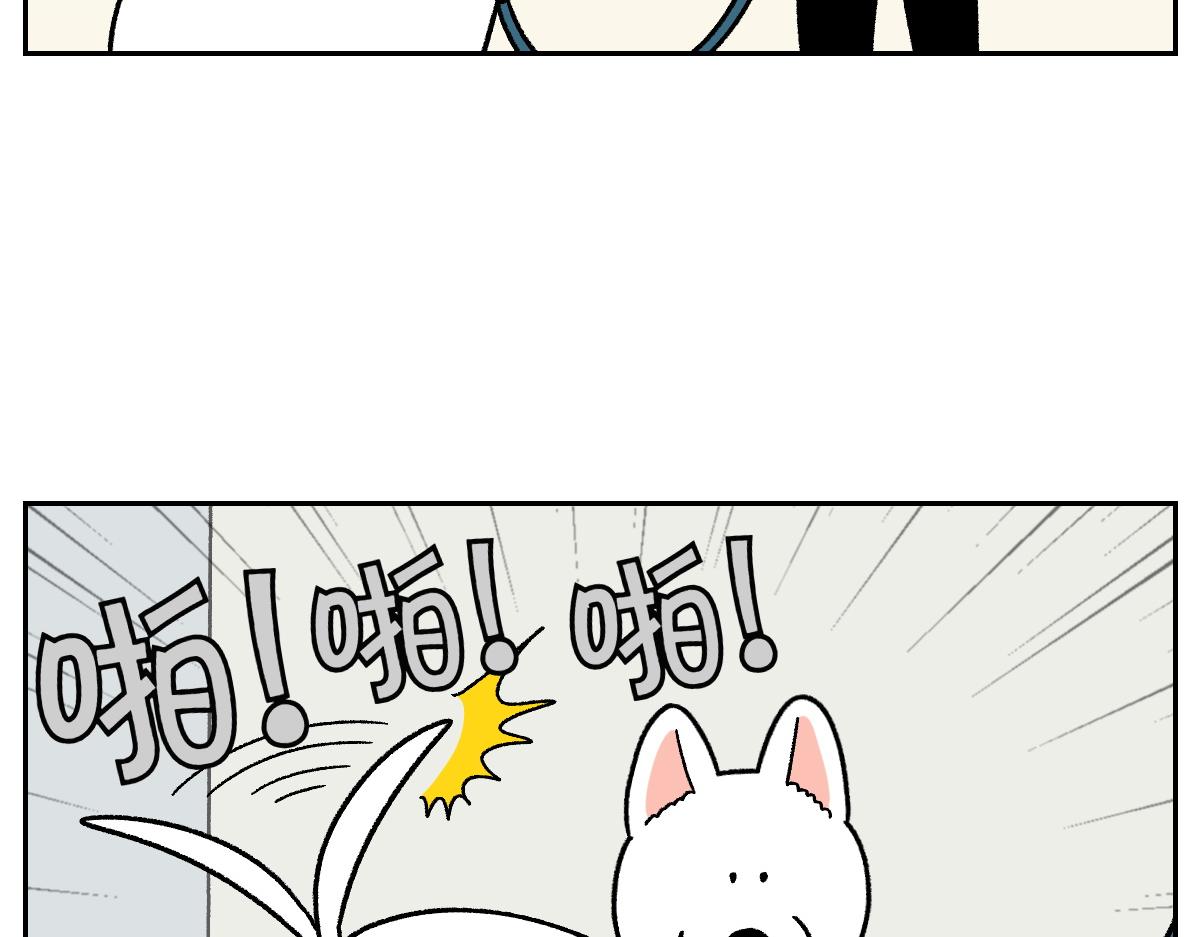 第55话 鼠鼠棉花(1/2)-第123话