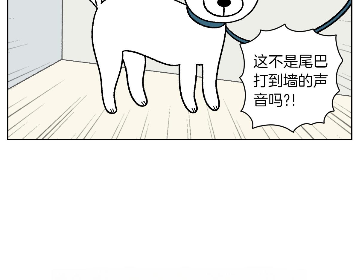 第55话 鼠鼠棉花(1/2)-第123话