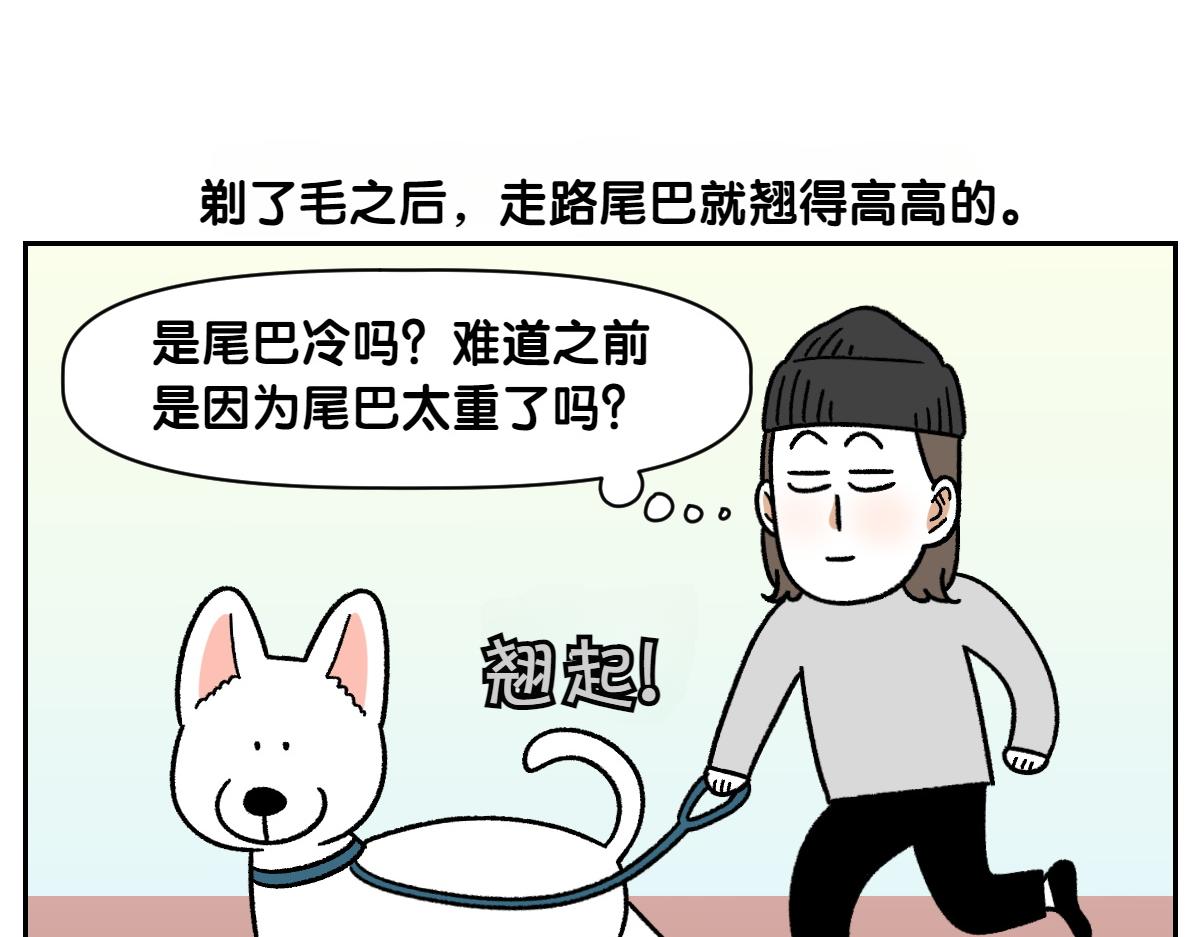第55话 鼠鼠棉花(1/2)-第123话