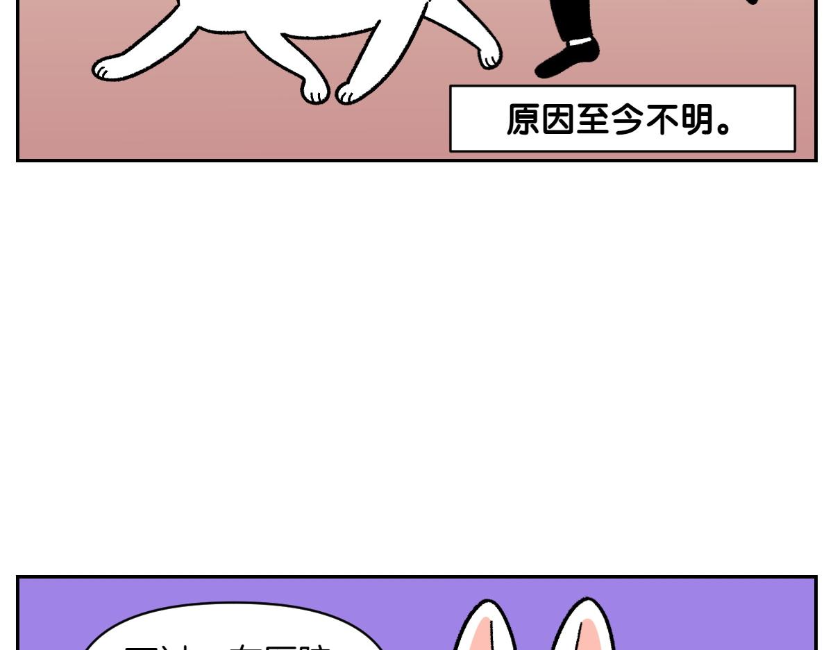 第55话 鼠鼠棉花(1/2)-第123话