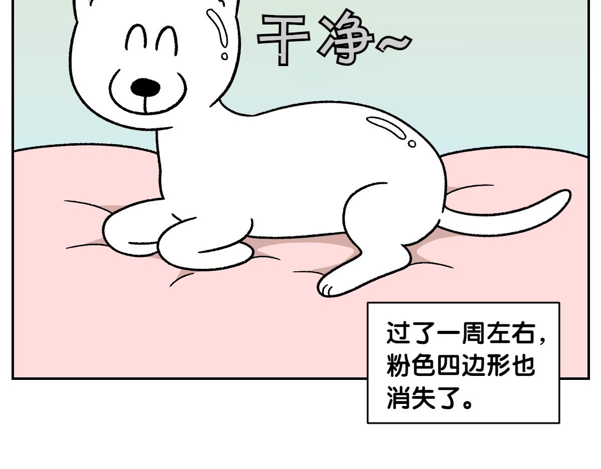 第55话 鼠鼠棉花(1/2)-第123话