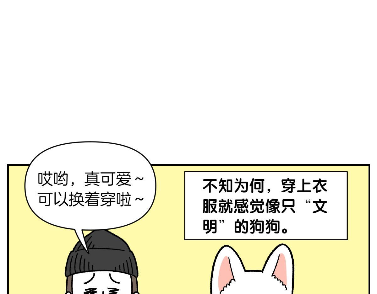 第55话 鼠鼠棉花(1/2)-第123话